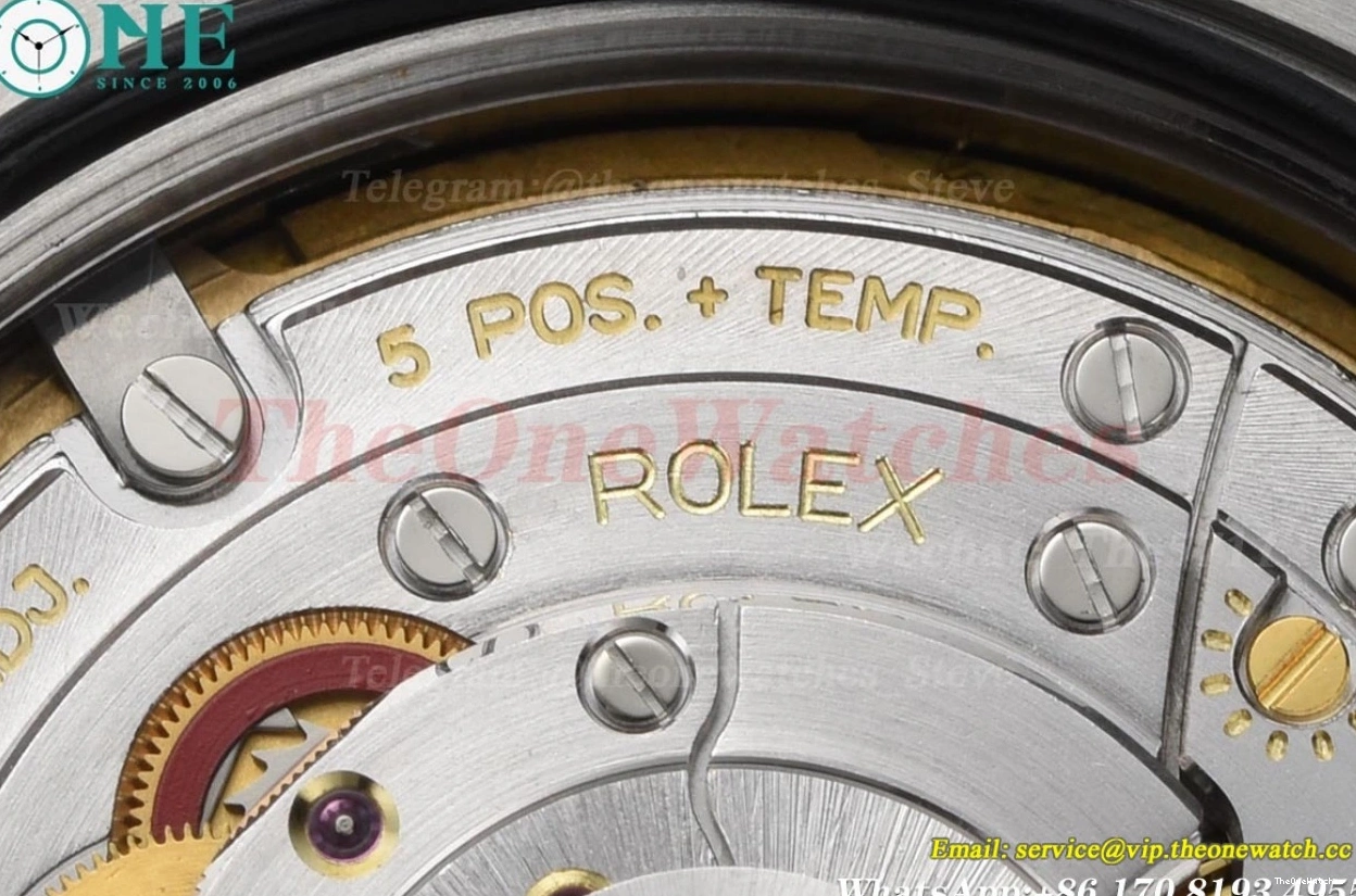 Black Explorer 40mm SS VS3230 224270 SS Dial VSF I 0129